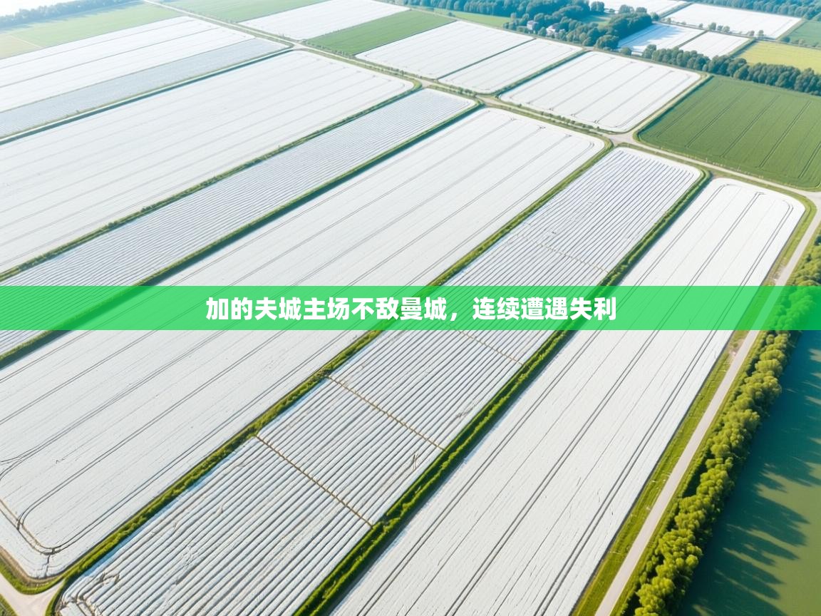 加的夫城主场不敌曼城，连续遭遇失利