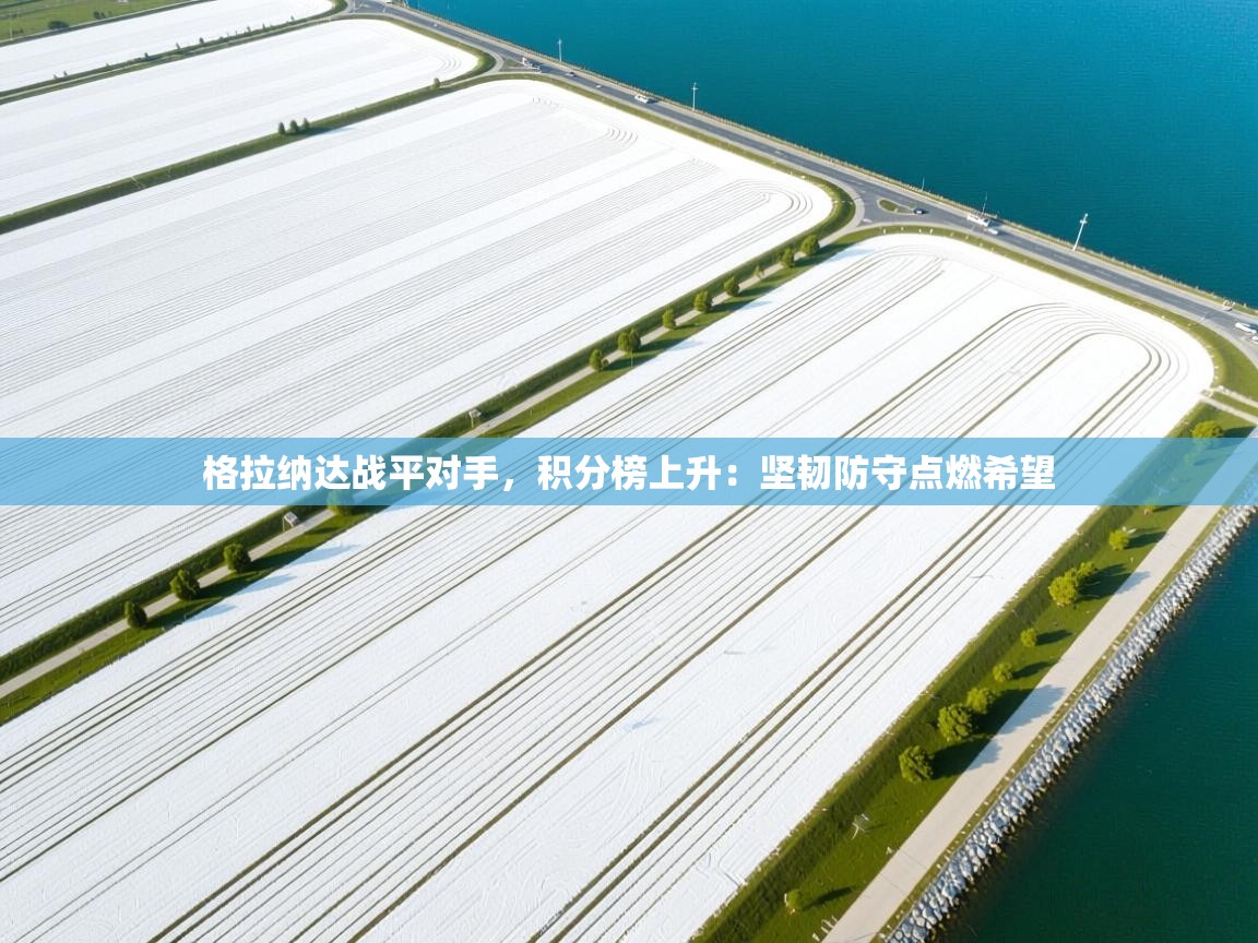 格拉纳达战平对手，积分榜上升：坚韧防守点燃希望  第2张