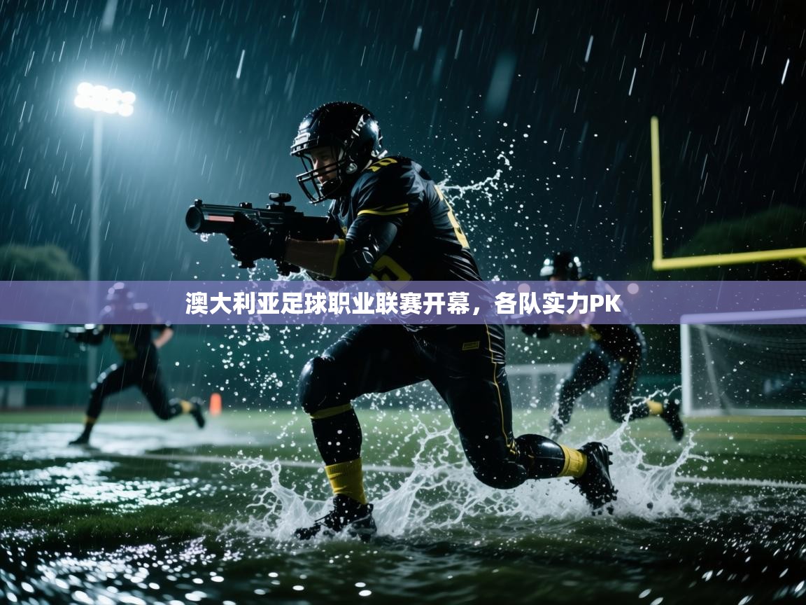 澳大利亚足球职业联赛开幕，各队实力PK  第2张