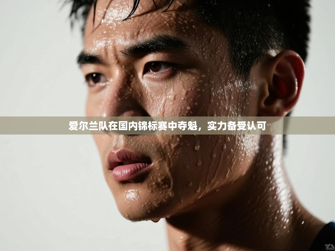 爱尔兰队在国内锦标赛中夺魁，实力备受认可  第1张