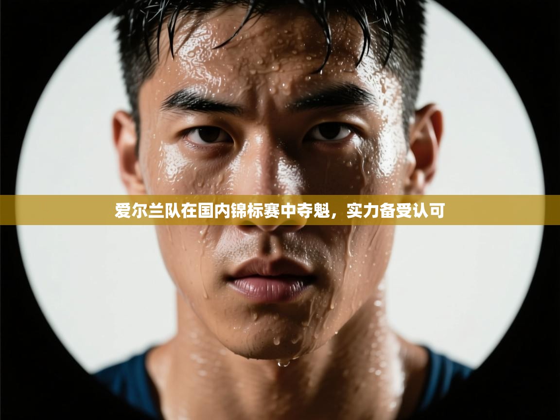 爱尔兰队在国内锦标赛中夺魁，实力备受认可  第2张