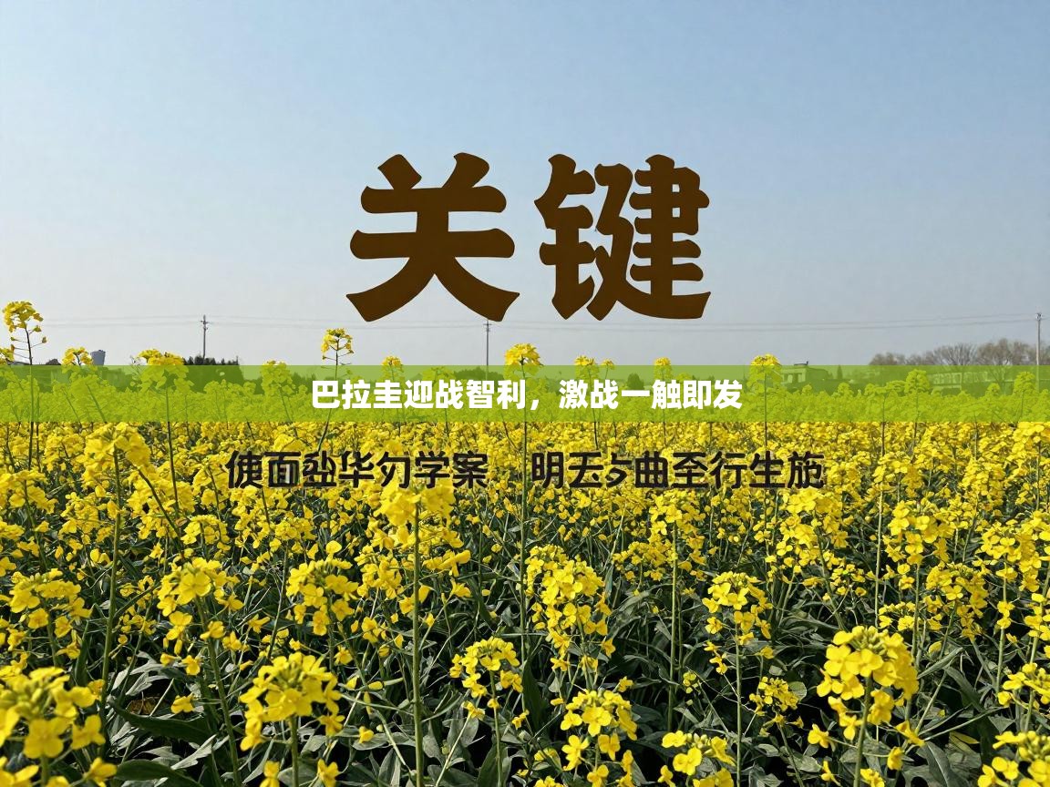 巴拉圭迎战智利，激战一触即发